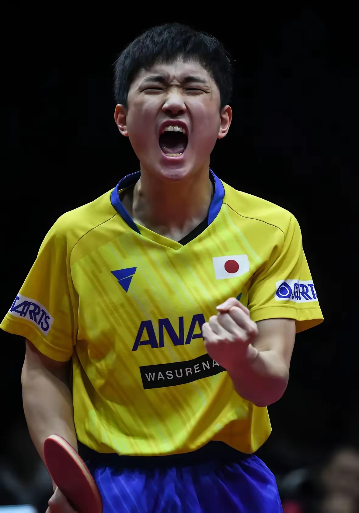 包含韩国乒乓球队血洗比利时乒乓球队,张本智和绝境逆转的词条 包含韩国乒乓球队血洗比利时乒乓球队,张本智和绝境逆转的词条