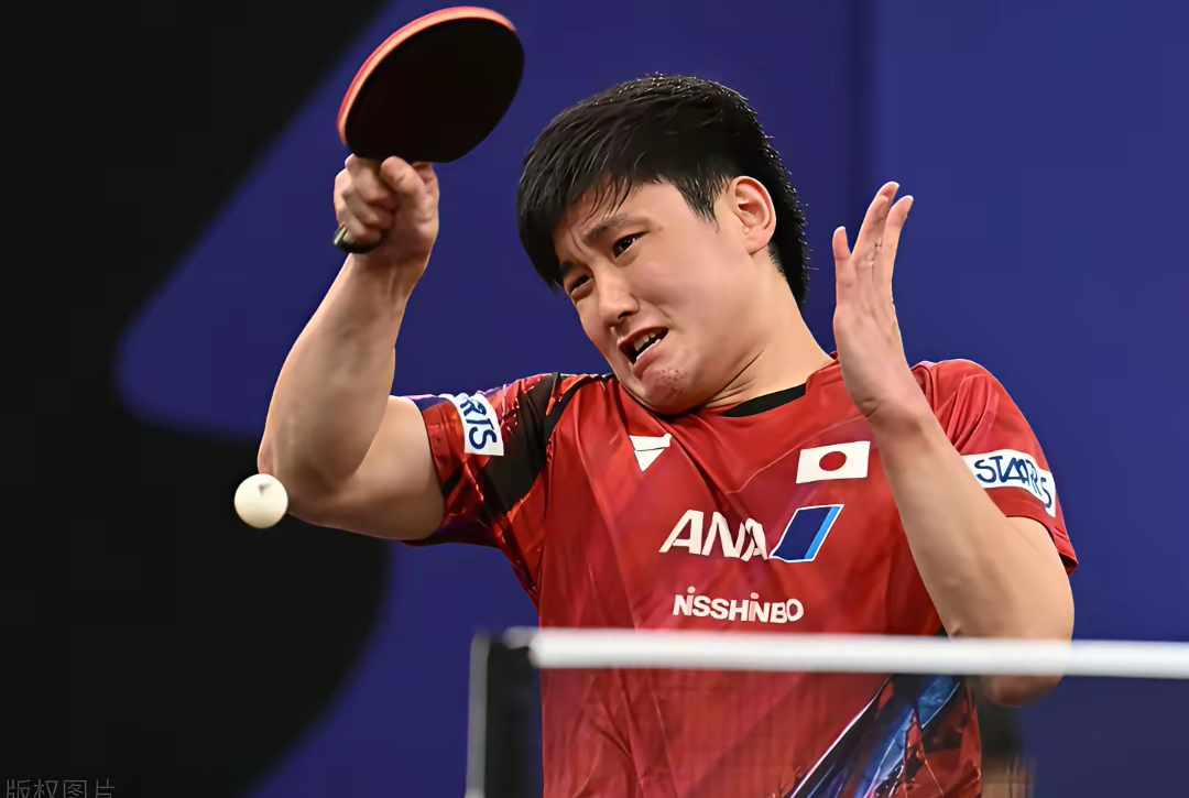 包含韩国乒乓球队血洗比利时乒乓球队,张本智和绝境逆转的词条 包含韩国乒乓球队血洗比利时乒乓球队,张本智和绝境逆转的词条