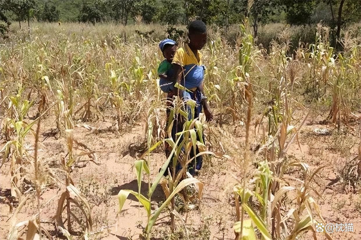 非洲国家推动农业现代化进程 非洲国家推动农业现代化进程