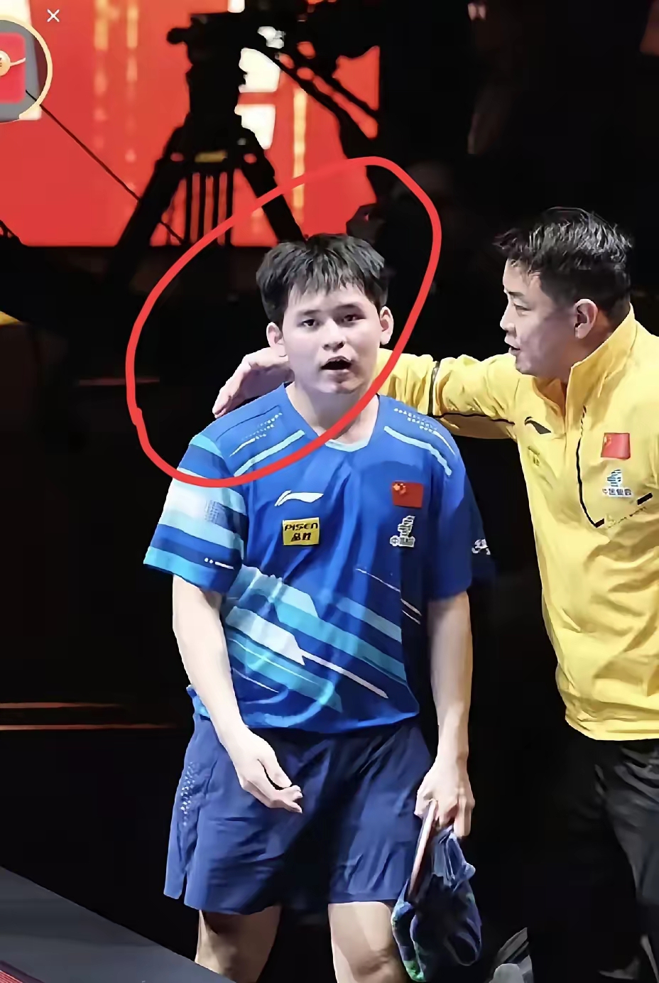 波兰乒乓球队翻盘奥地利乒乓球队，王皓爆发神勇的简单介绍