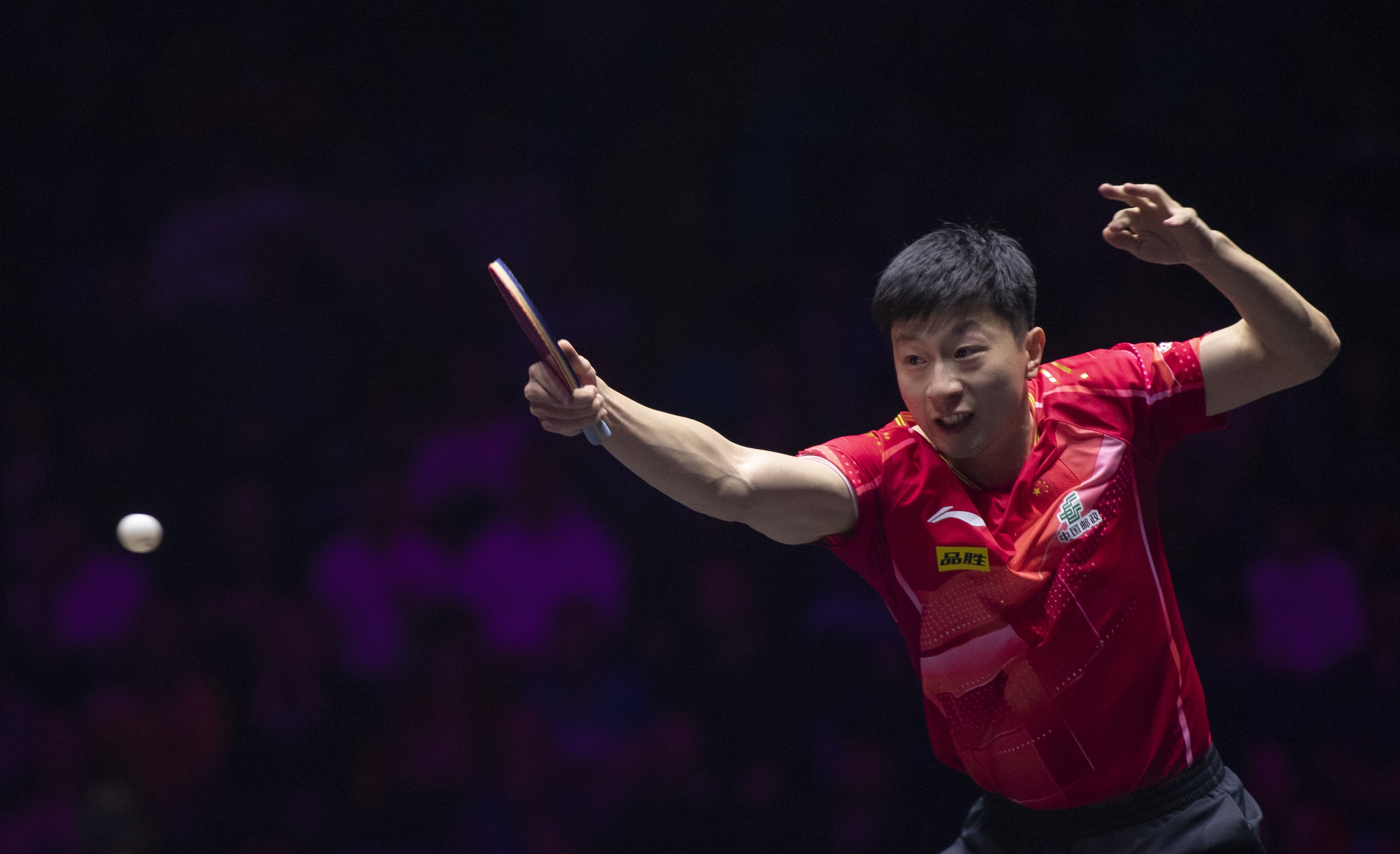 波兰乒乓球队翻盘日本乒乓球队，马龙高光表现的简单介绍