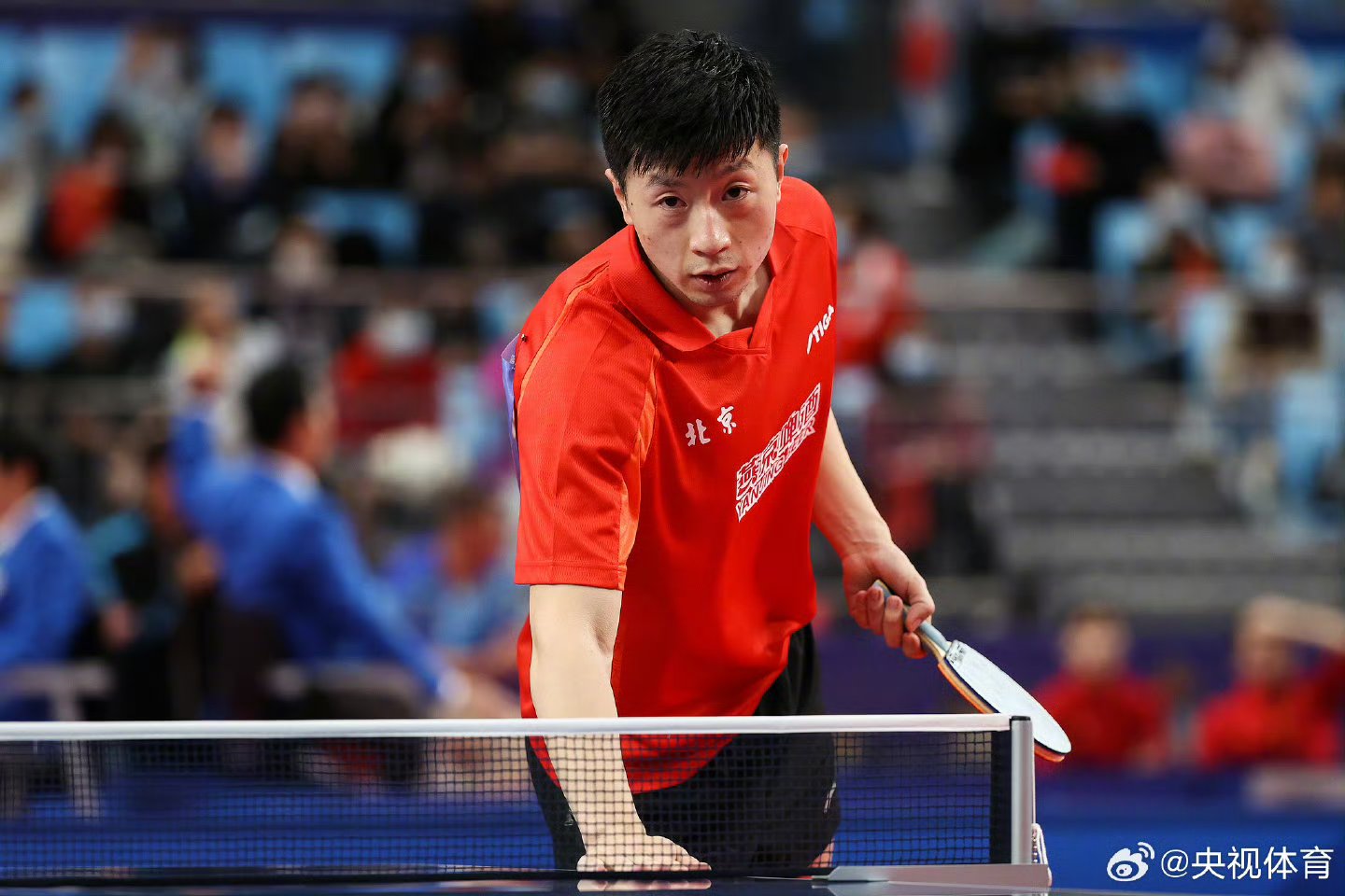 韩国乒乓球队险胜日本乒乓球队，马龙惊艳世界的简单介绍