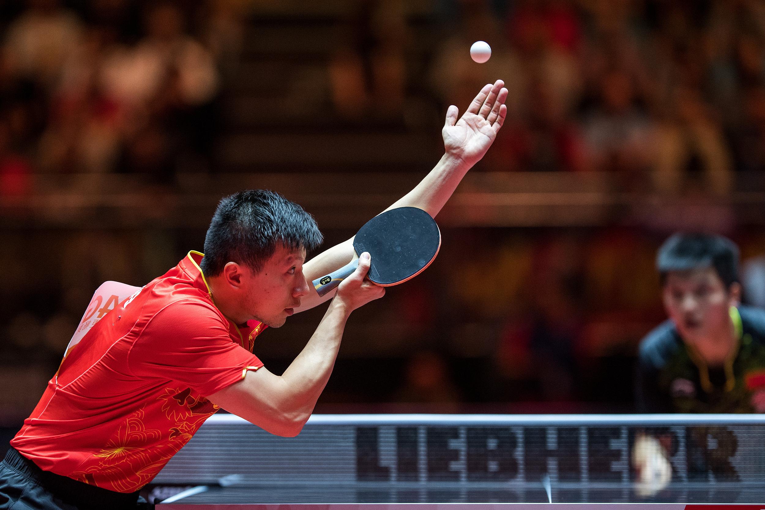 波兰乒乓球队血洗日本乒乓球队，马龙送出助攻