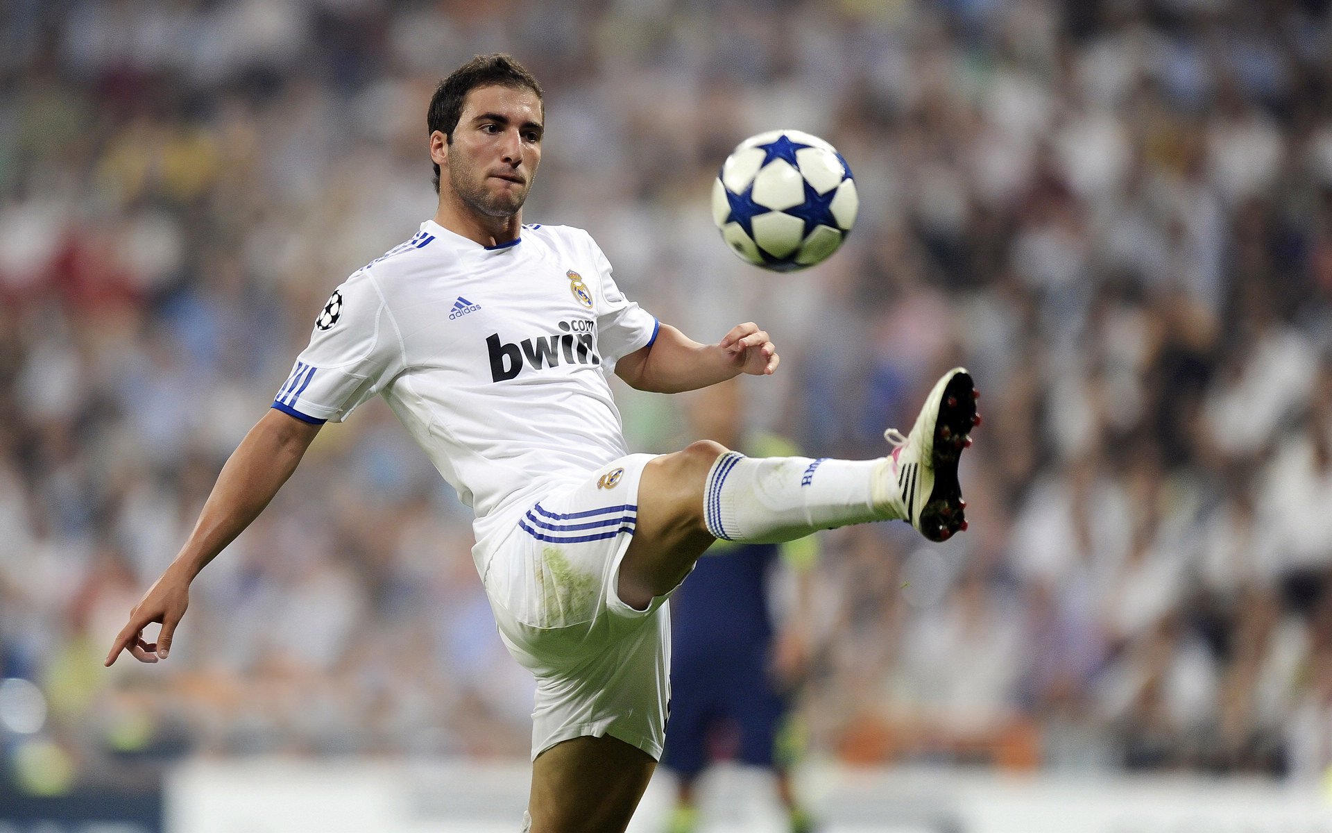 天山雪豹鏖战金州雄狮,周琦点燃赛场,定义东方力量